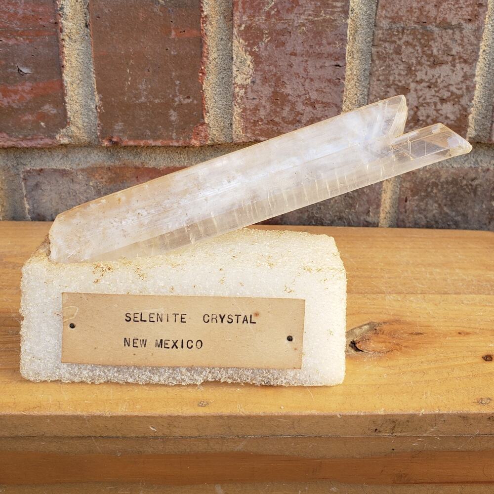 Selenite‎ Crystal Fish Tail, New Mexico USA, 98g Estate Specimen 5.75"
